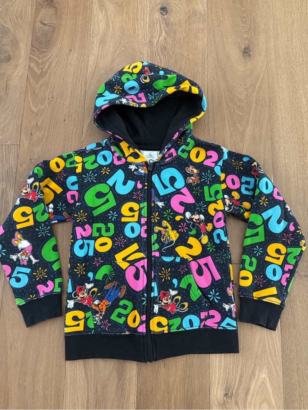 Disneyland anniversary sweatshirt